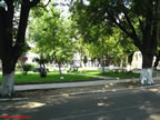 Parculetul din spatele postei.jpg (163kb)